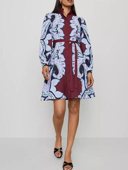 Ruffle Collar Flare Dress